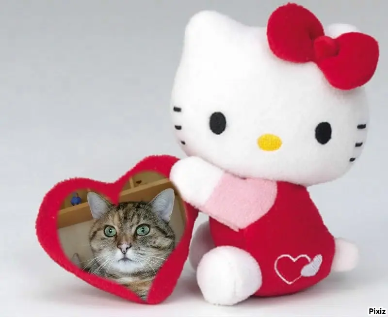 Condolence image of Tanja mit Timmy im Herzen