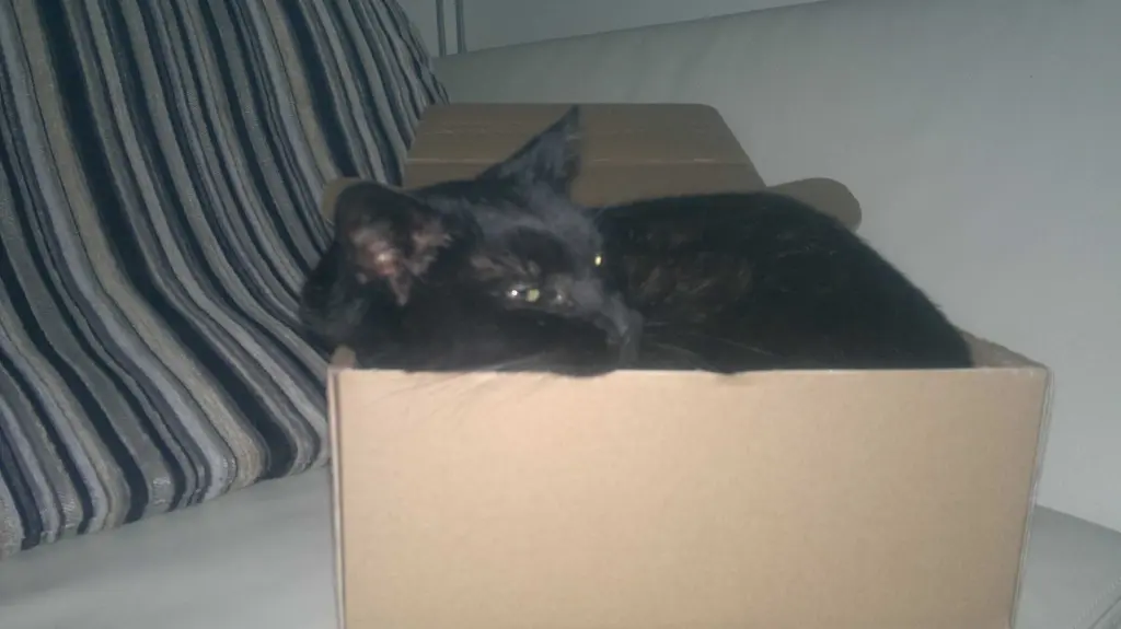 Condolence image of Benny an Pauline