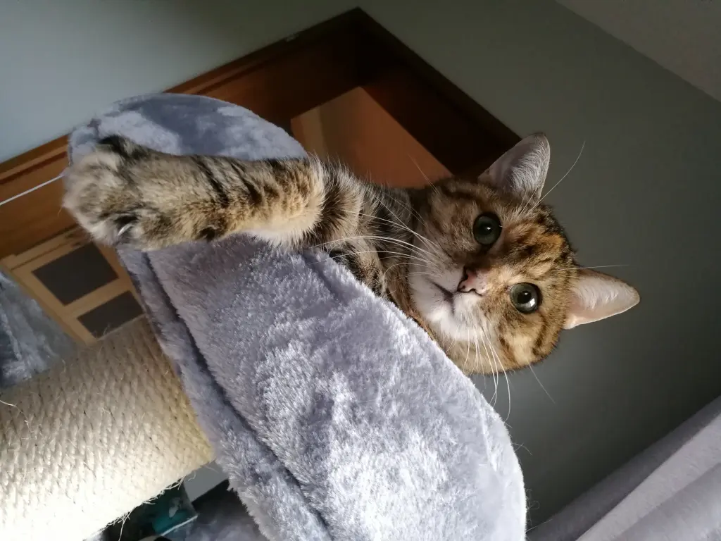 Condolence image of Deiner Mama ❤️