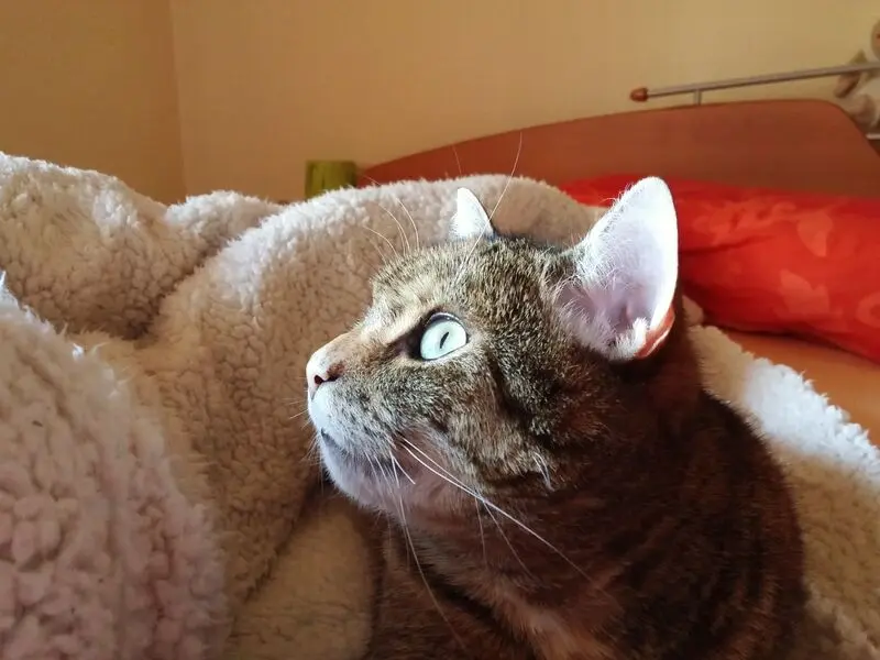 Condolence image of Mama Daniela für mein kleines Engelchen ❤️