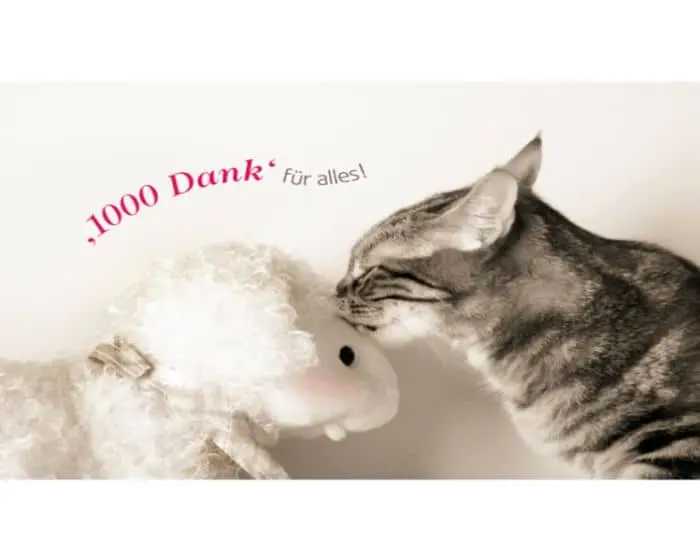 Condolence image of Katrin mit Katzi im ❤️