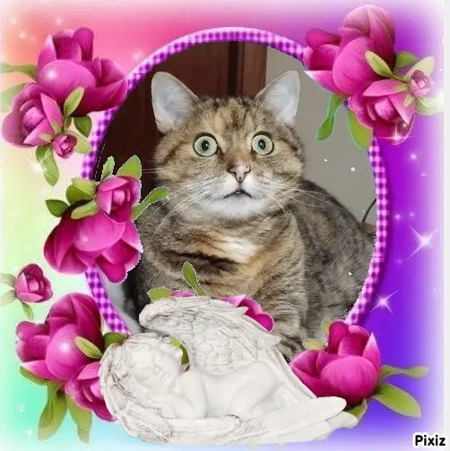 Condolence image of Patricia mit Bunny ❤