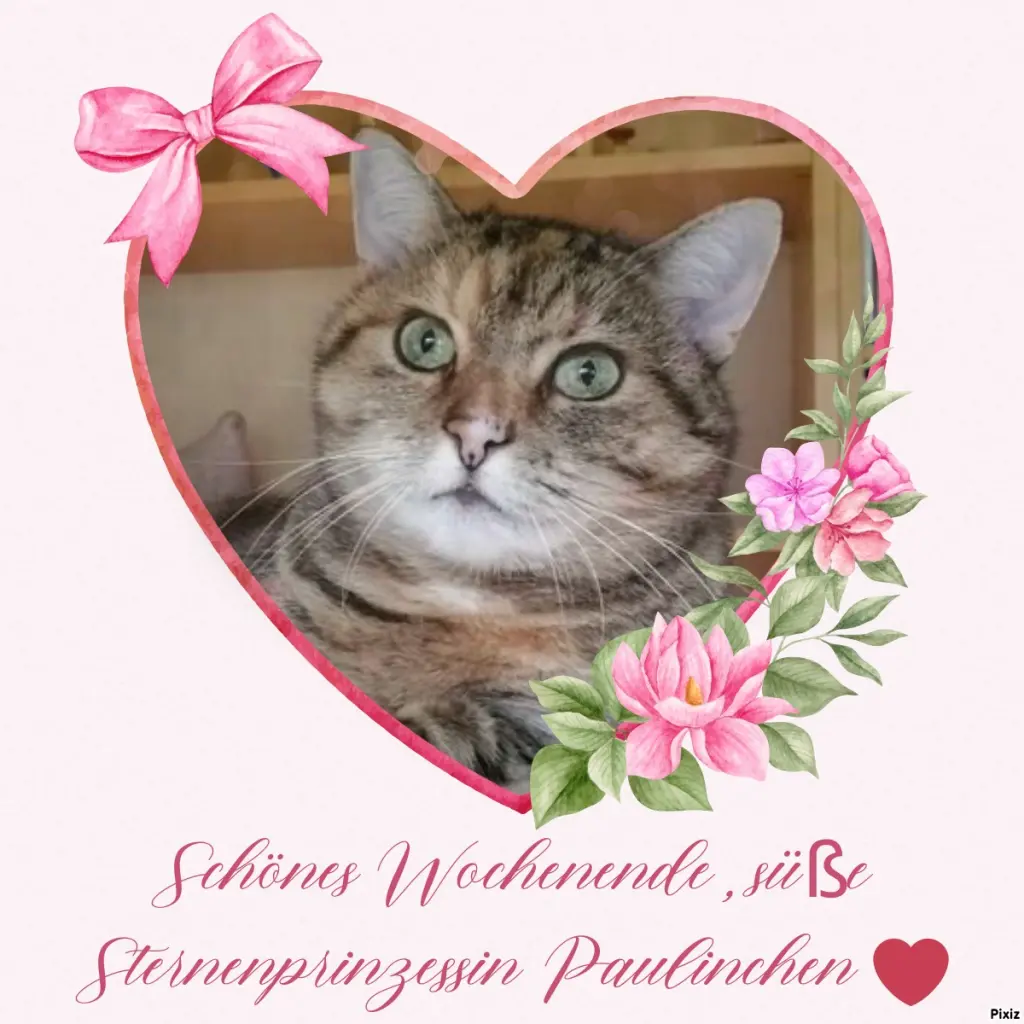 Condolence image of Tanja mit Timmy im Herzen 