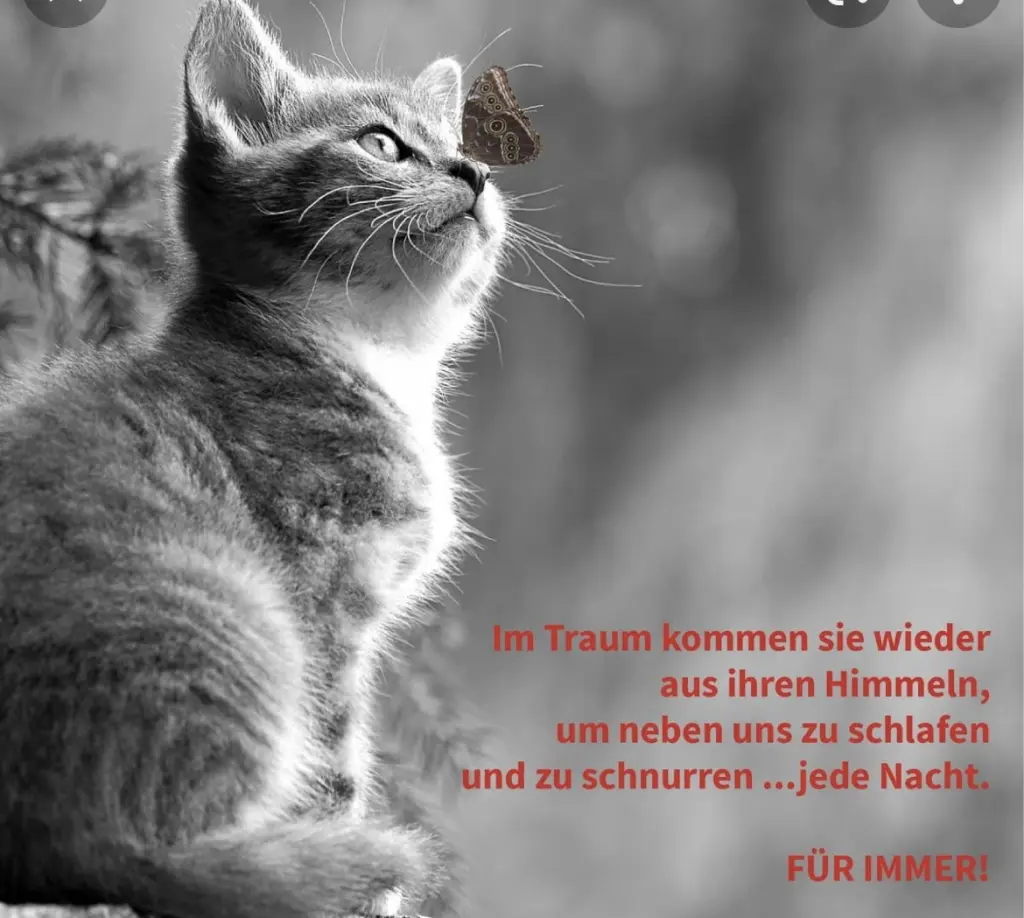 Condolence image of Emma und Sonja