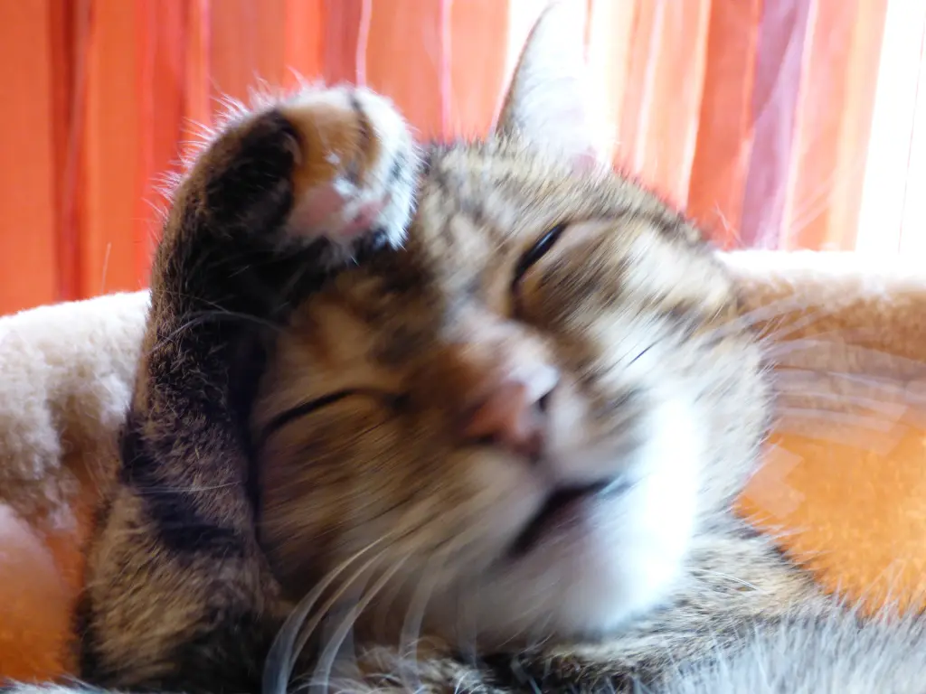 Condolence image of Deiner Mama ❤️