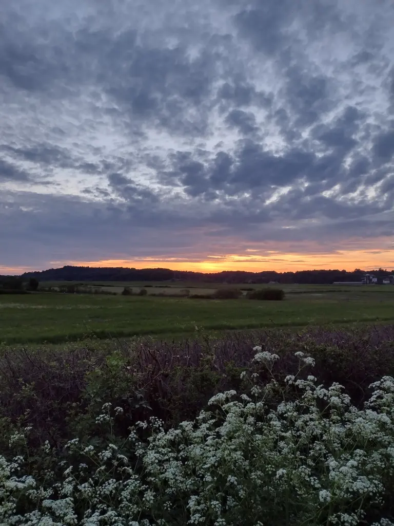 Condolence image of Corinna mit Emma, Pummelchen und anderen Sternlein im ❤️