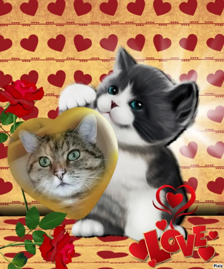 Condolence image of Tanja mit Timmy im Herzen 