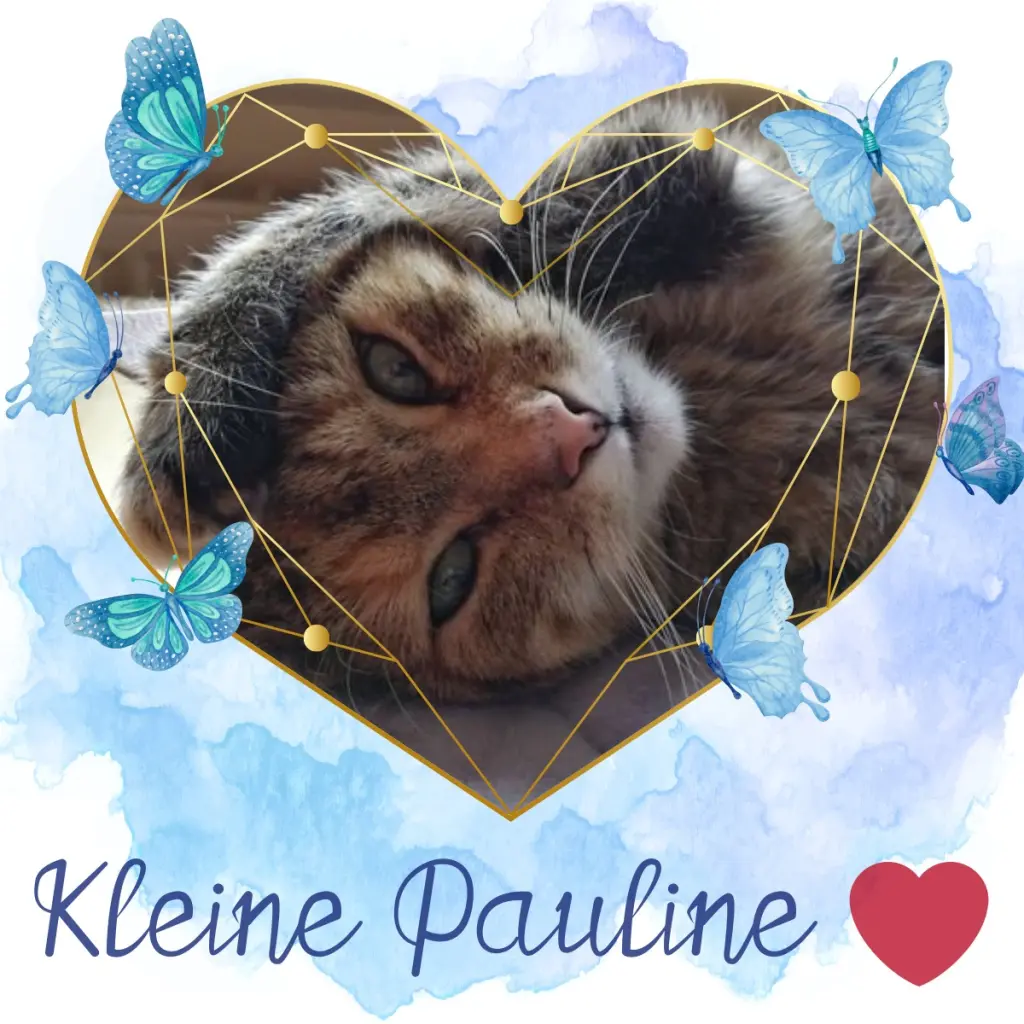 Condolence image of Patricia mit Bunny ❤