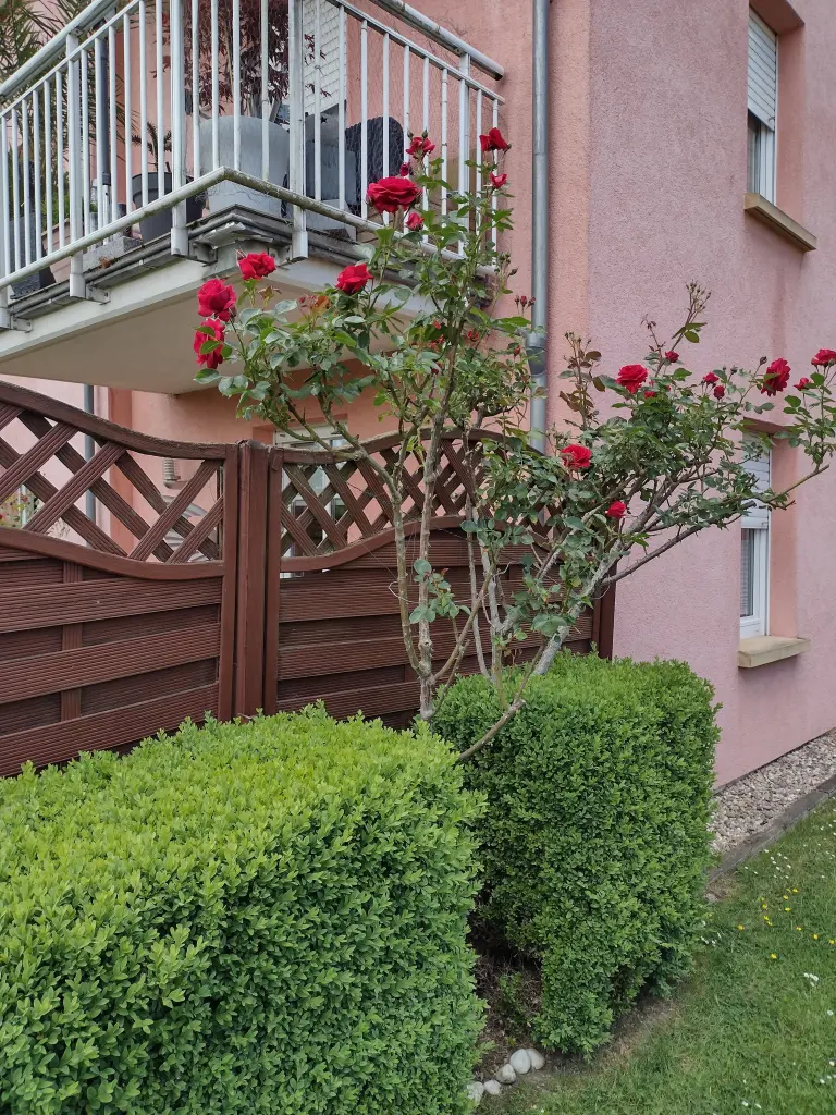 Condolence image of Corinna mit Emma, Pummelchen und anderen Sternlein im Herzen