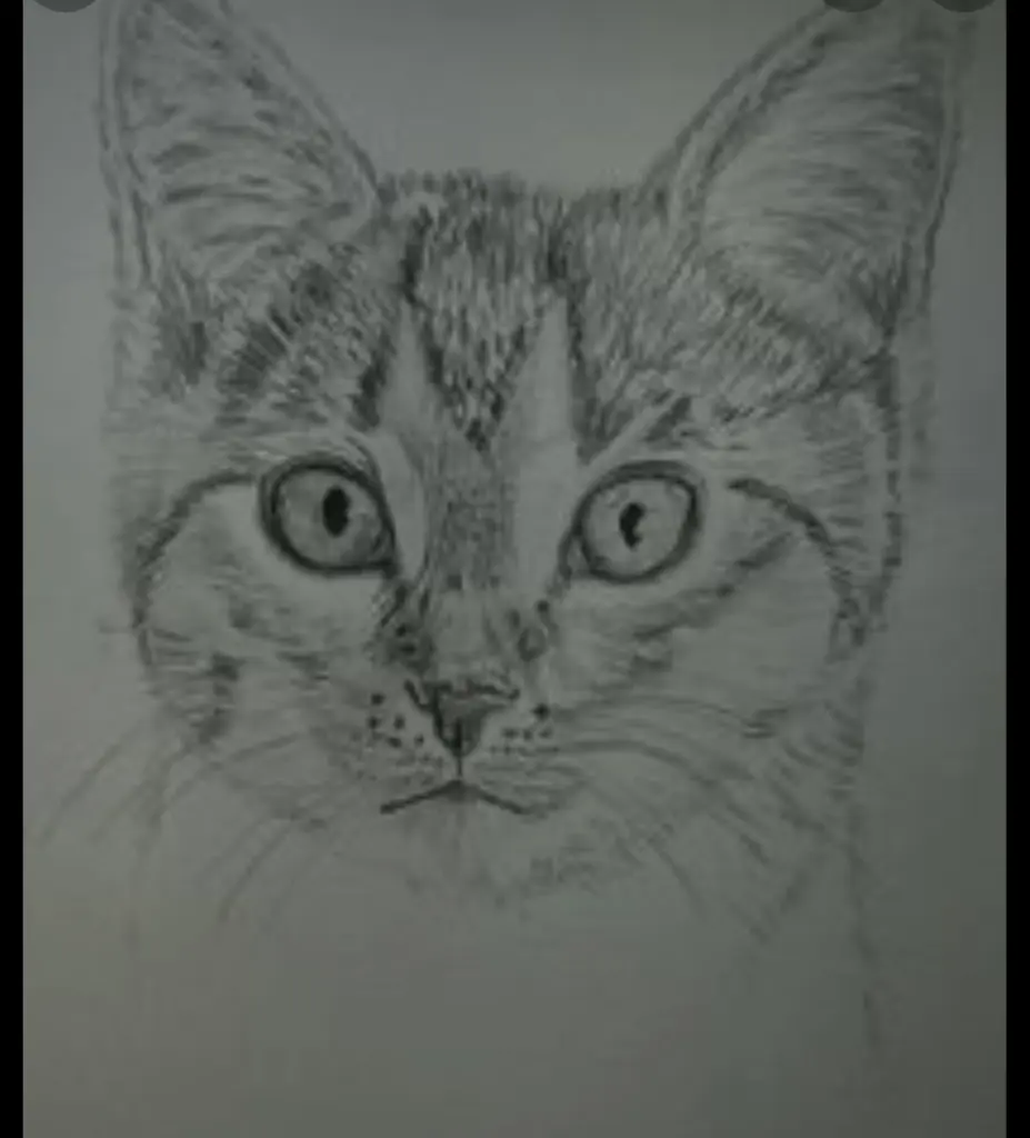 Condolence image of An Pauline und Mama Daniela❤️