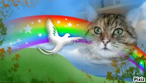 Condolence image of Sternchenpost von Pauline ❤ an Mami Daniela ❤