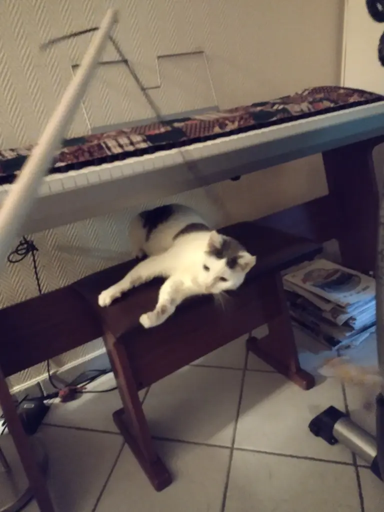 Condolence image of Corinna mit Emma, Pummelchen und anderen Sternlein im ❤️