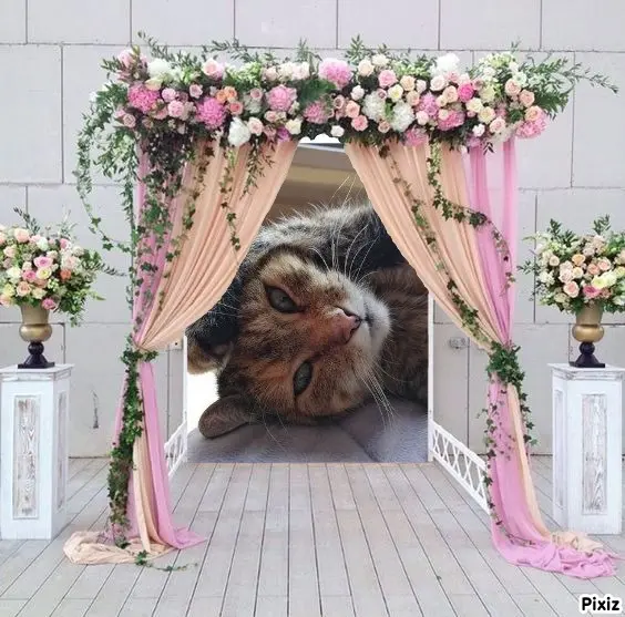 Condolence image of Patricia mit Bunny ❤