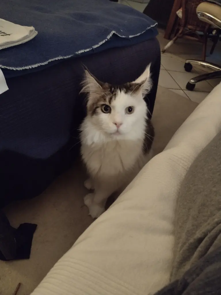 Condolence image of Von Emmeli