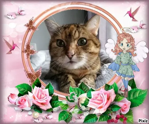 Condolence image of Patricia mit Bunny ❤