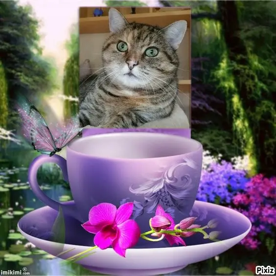 Condolence image of Tanja mit Timmy im Herzen 