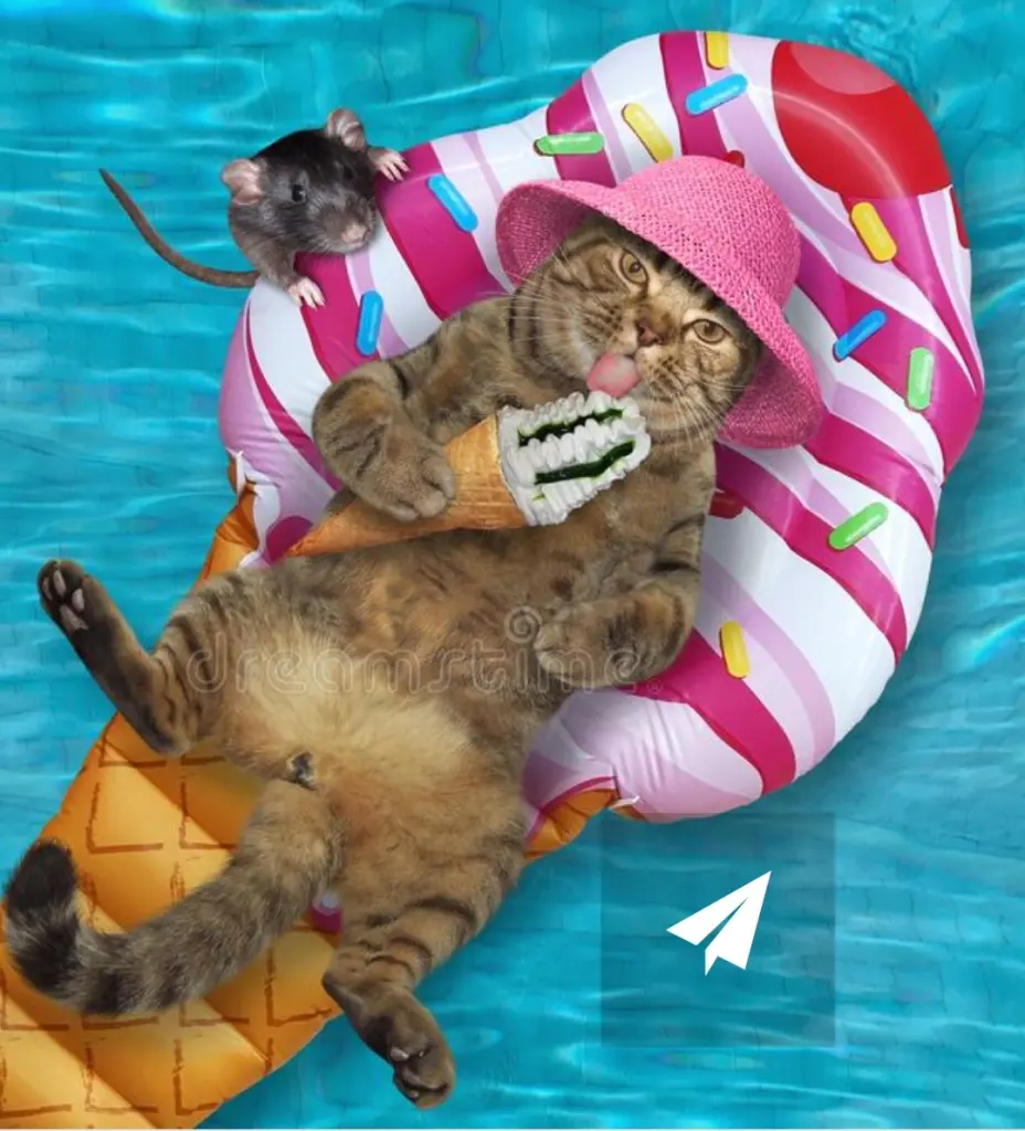 Condolence image of Mama Daniela  und Leonie ❤️