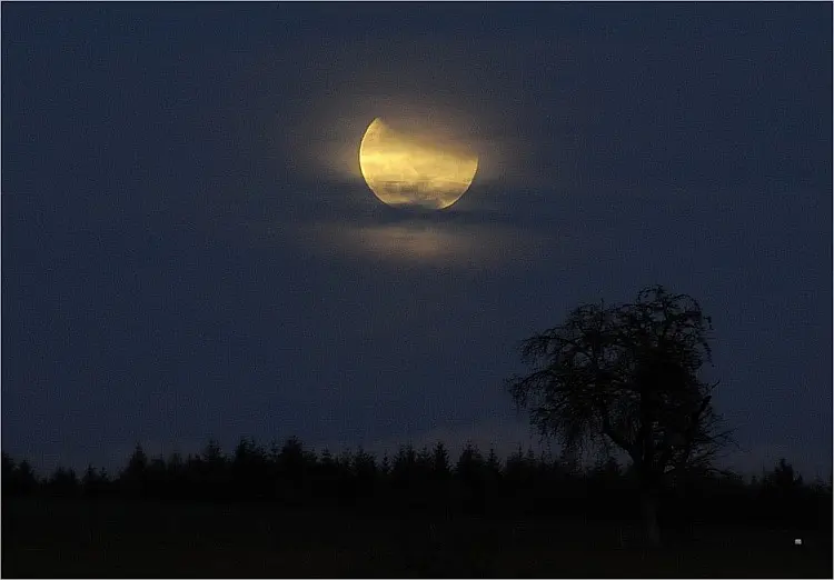 Condolence image of Marple