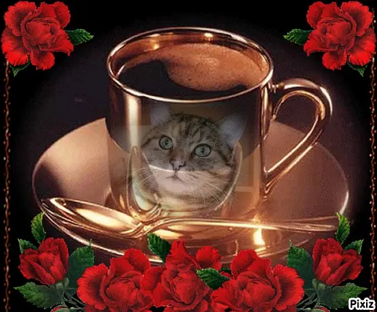 Condolence image of Tanja mit Timmy im Herzen 