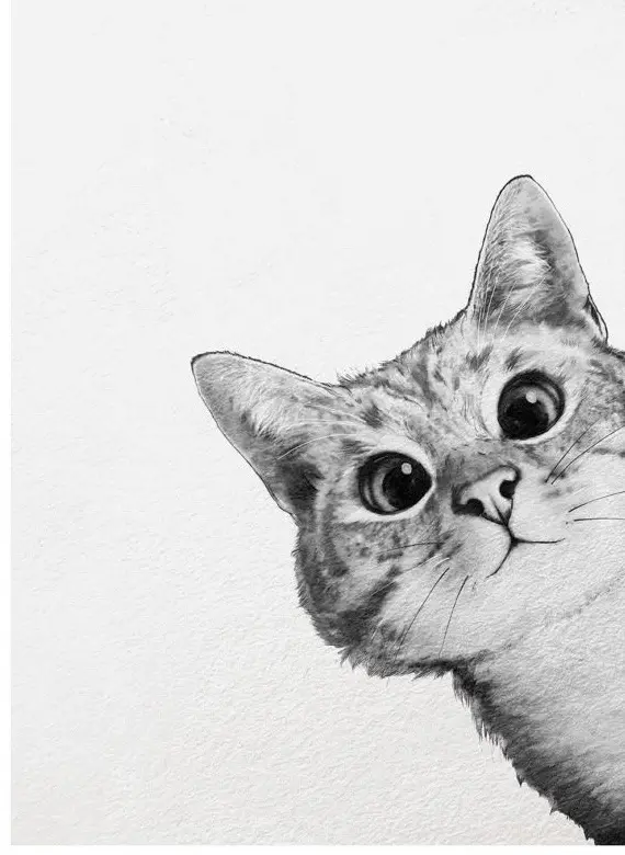 Condolence image of An Paulinchen und Mama Daniela