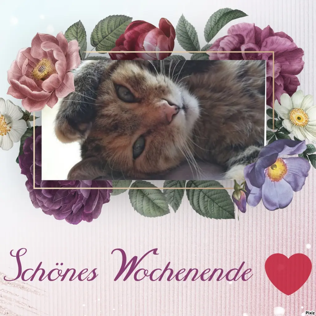 Condolence image of Patricia mit Bunny ❤