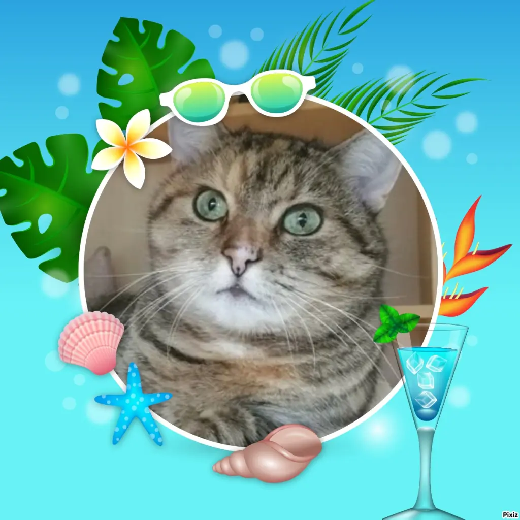 Condolence image of Tanja mit Timmy im Herzen