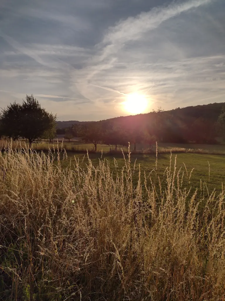 Condolence image of Corinna mit Emma, Pummelchen und anderen Sternlein im ❤️