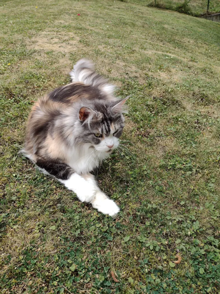 Condolence image of Kayly