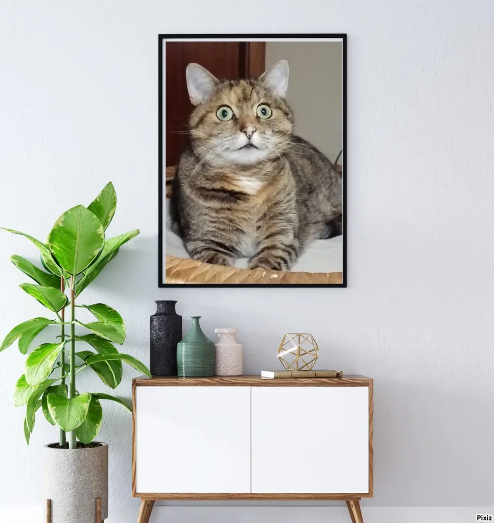 Condolence image of Patricia mit Bunny ❤