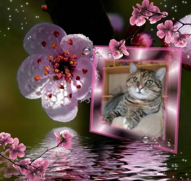 Condolence image of Gute❤️❤️❤️Nacht❤️❤️❤️❤️❤️