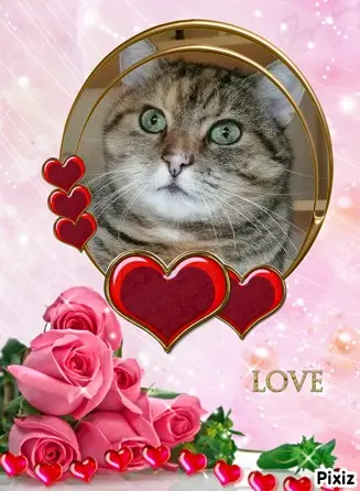 Condolence image of Tanja mit Timmy im Herzen 