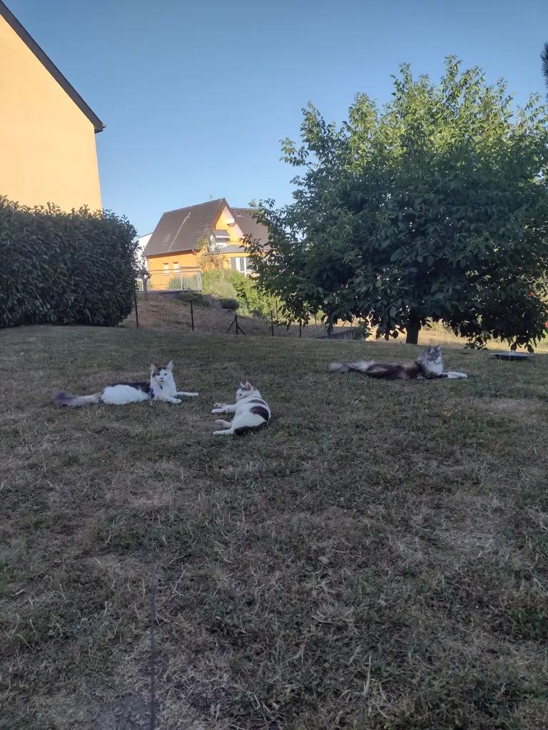 Condolence image of Corinna und Emma