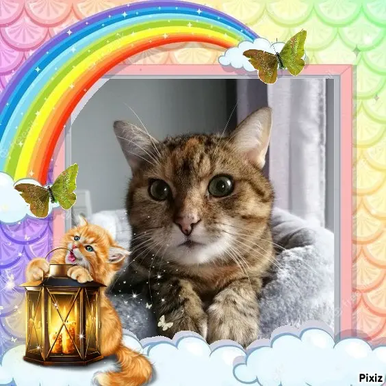 Condolence image of Patricia mit Bunny ❤