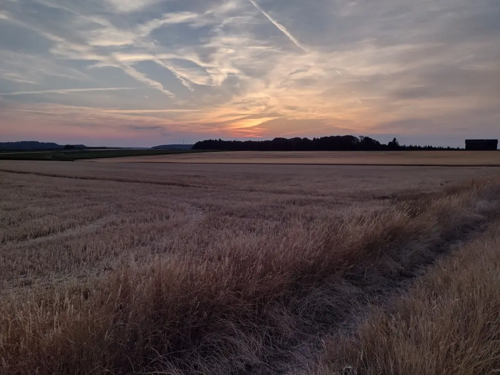 Condolence image of Corinna mit Emma, Pummelchen und anderen Sternlein im ❤️