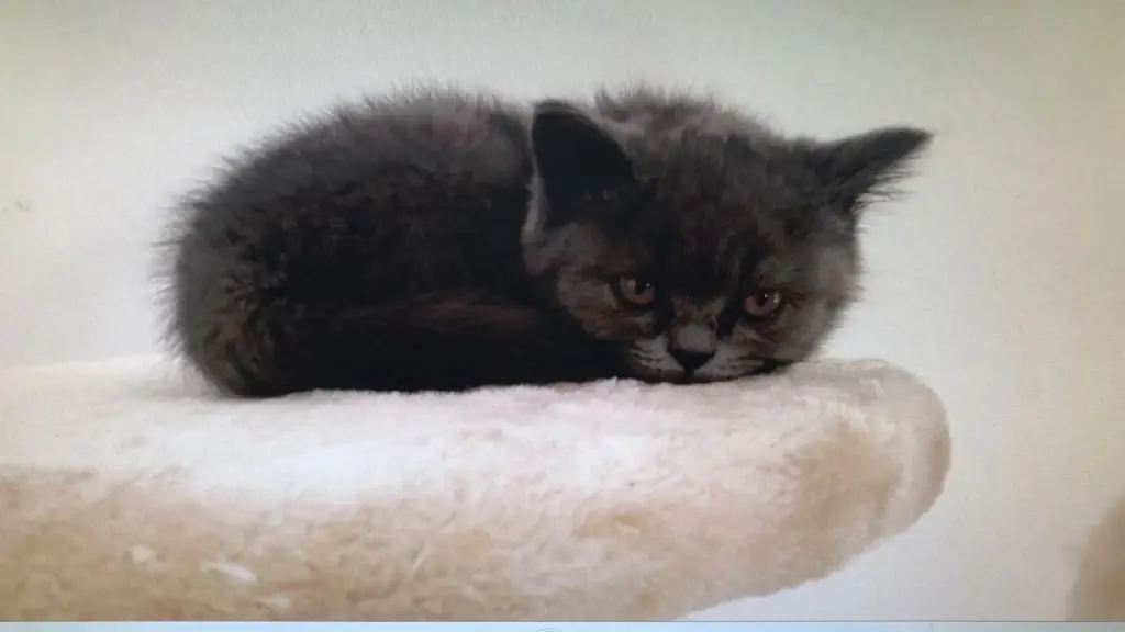 Condolence image of Von Emma