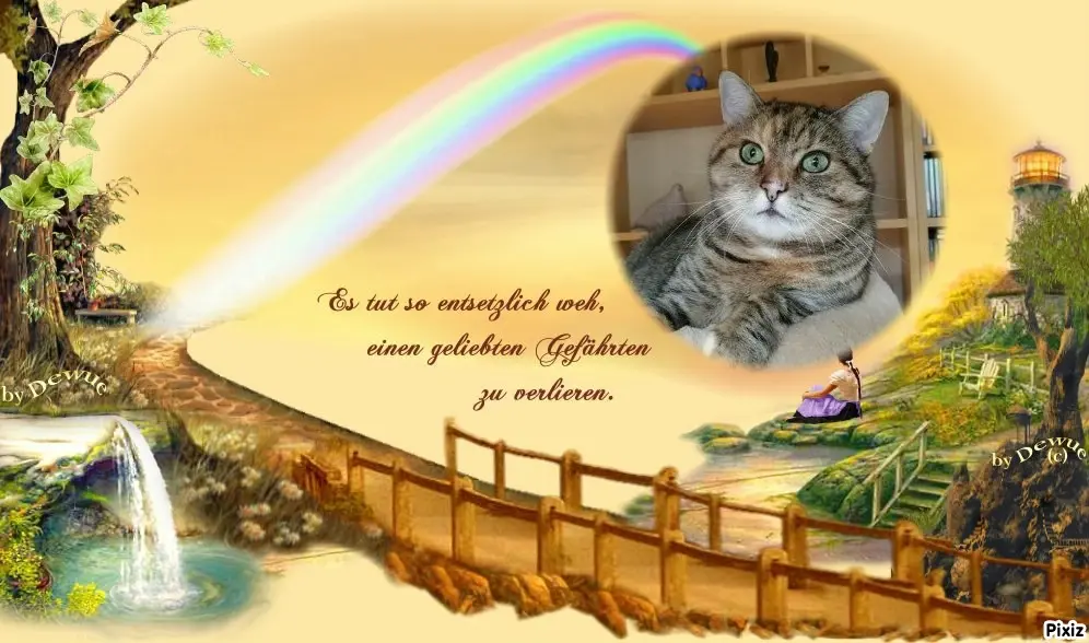 Condolence image of Tanja mit Timmy im Herzen