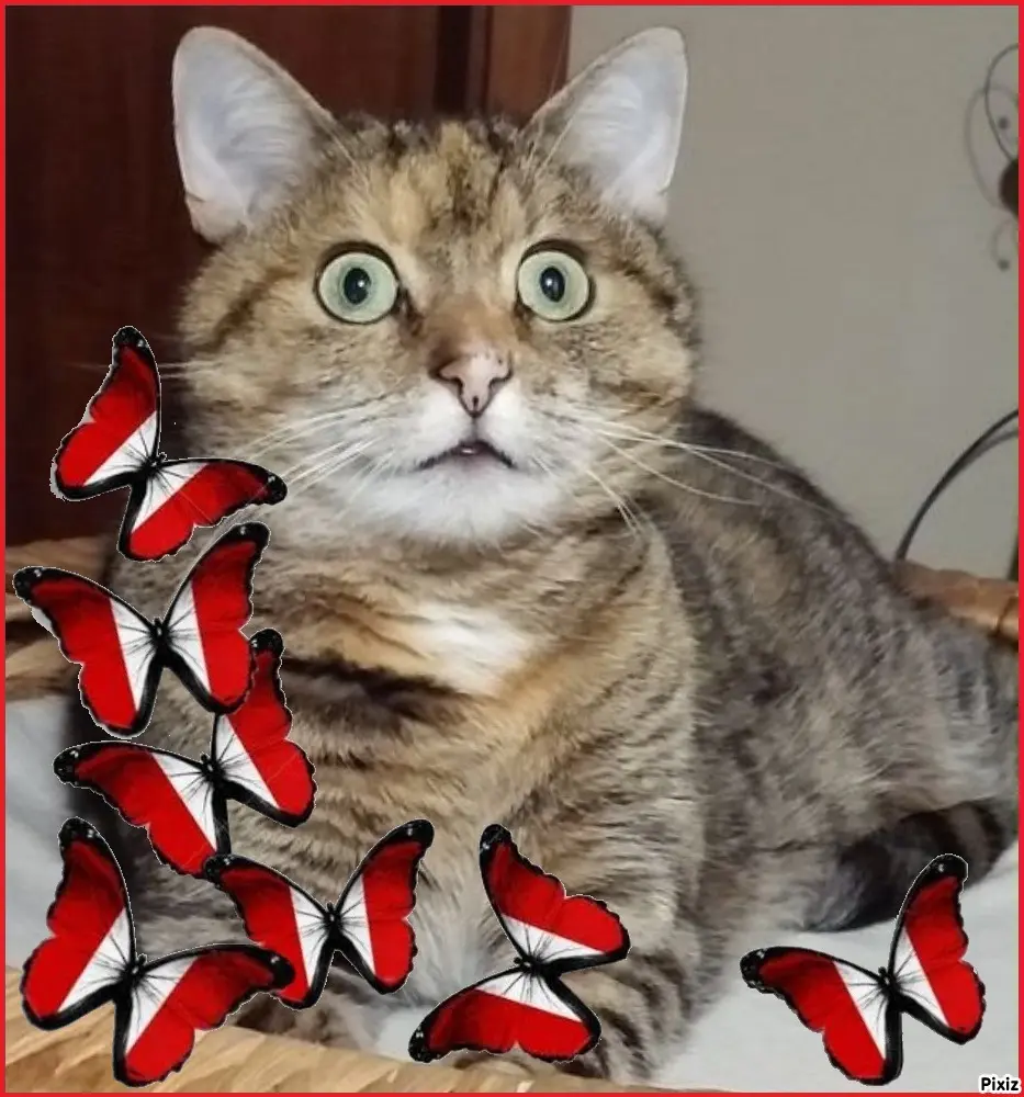 Condolence image of Sternchenpost ⭐