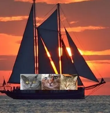 Condolence image of Elisabeth mit Marple im Herzen