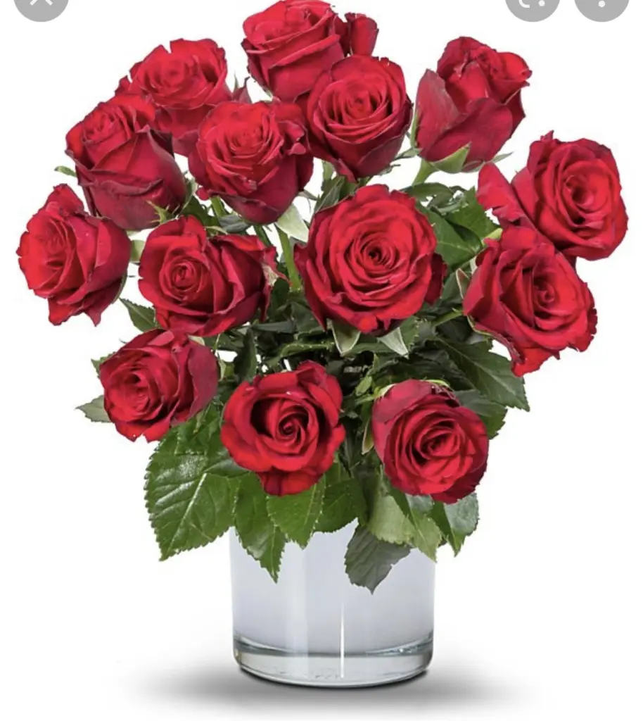 Condolence image of An Pauline und Mama Daniela