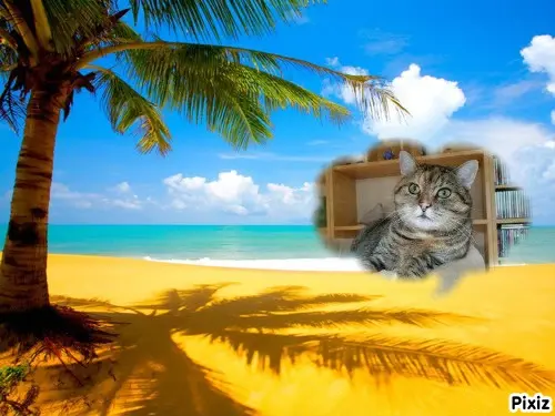 Condolence image of Tanja mit Timmy im Herzen 