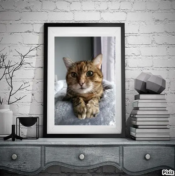 Condolence image of Patricia mit Bunny ❤️ 