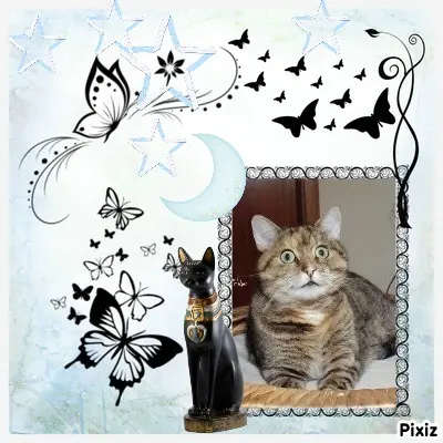 Condolence image of Patricia mit Bunny ❤