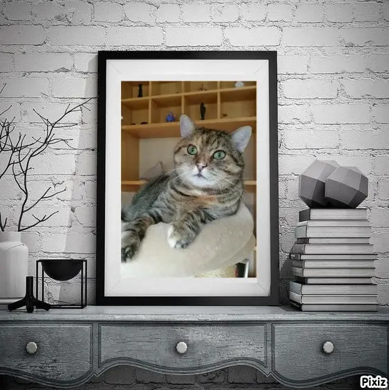 Condolence image of Tanja mit Timmy im Herzen