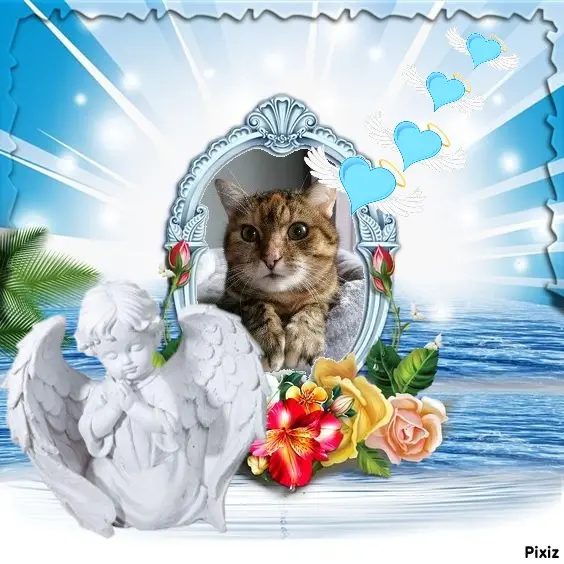 Condolence image of Patricia mit Bunny ❤