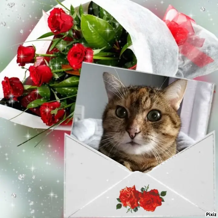 Condolence image of Patricia mit Bunny ❤