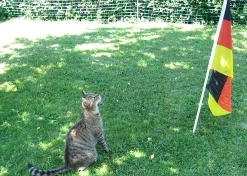 Condolence image of Christie und Elisabeth an Pauline