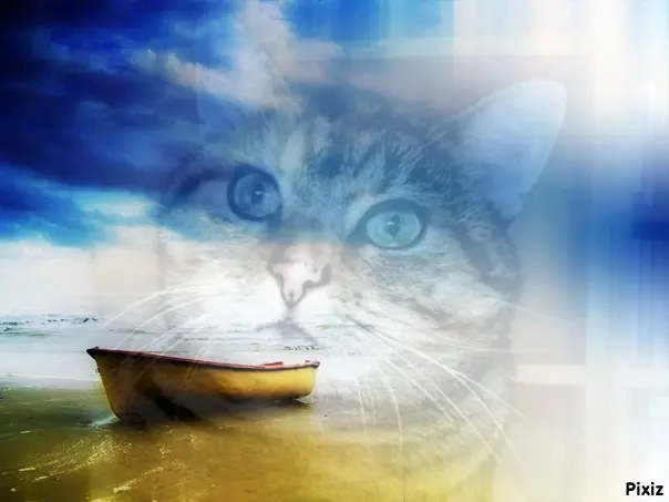 Condolence image of Tanja mit Timmy im Herzen 