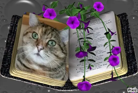 Condolence image of Tanja mit Timmy im Herzen 