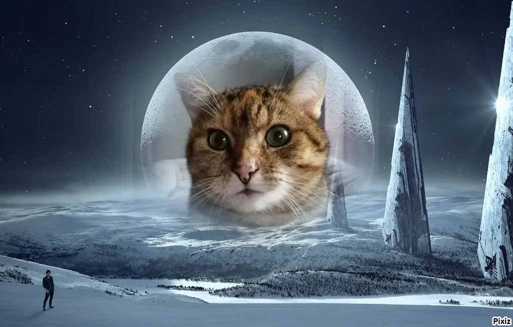 Condolence image of Patricia mit Bunny ❤