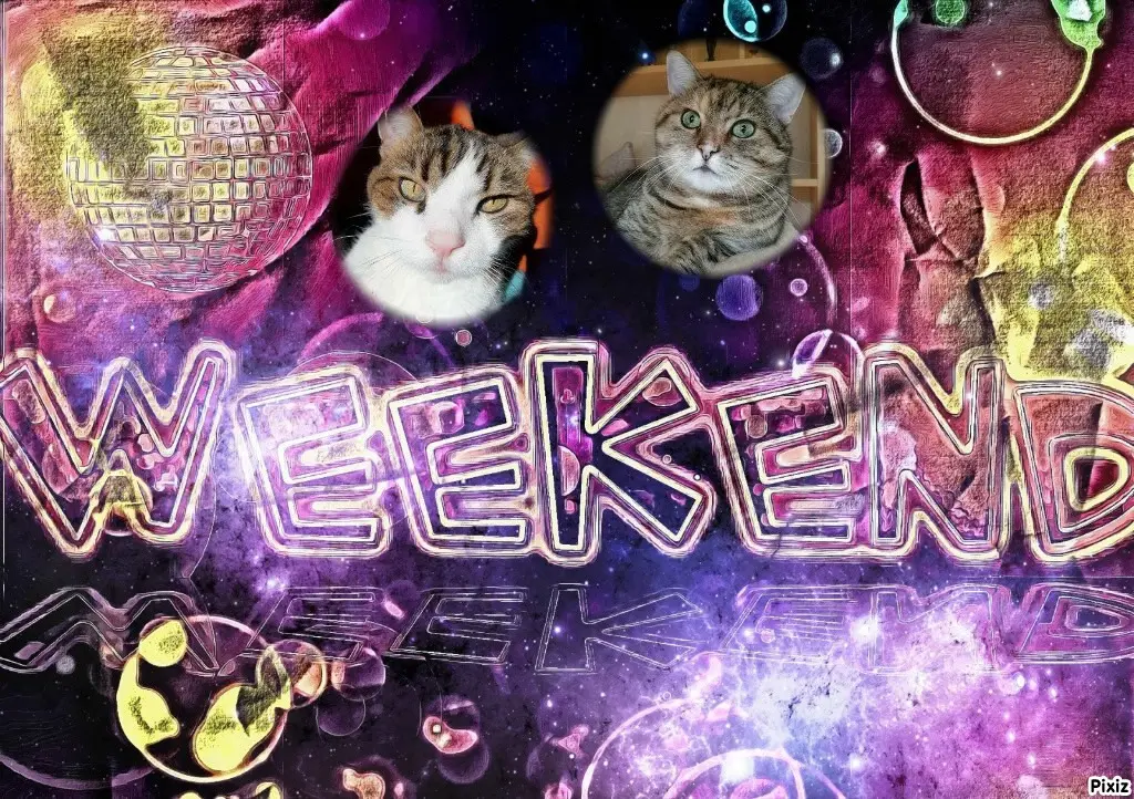 Condolence image of Tanja mit Timmy im Herzen 